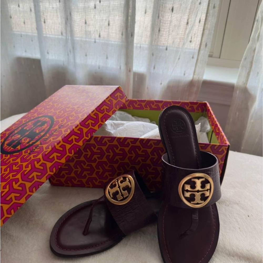 Tory slides